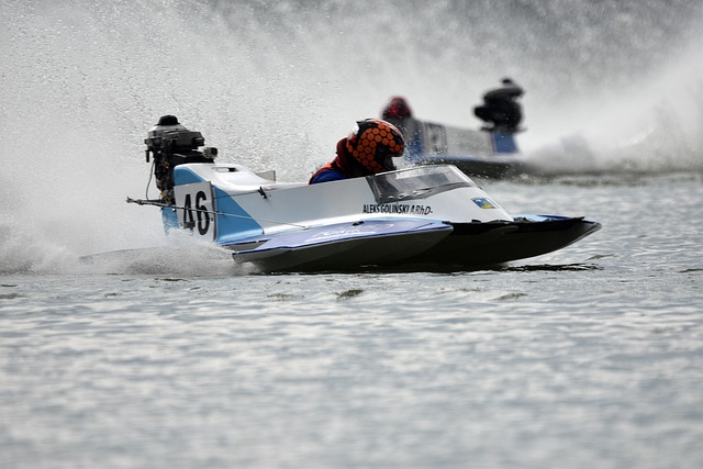 它不仅是个 它不仅是个