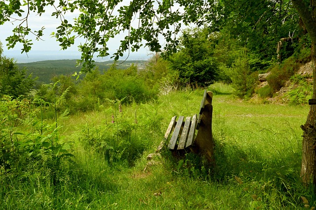 度和战术体 度和战术体