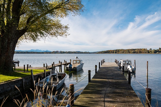 阿莫林在执 阿莫林在执