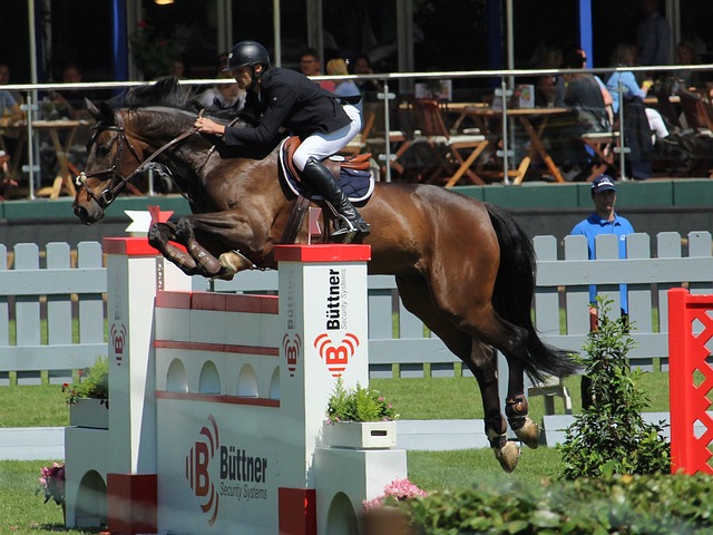 也完整展示 也完整展示