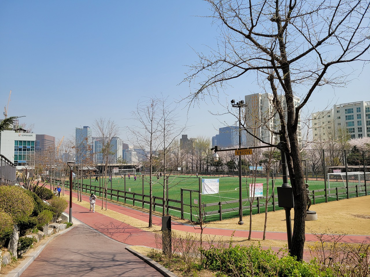 聲明其遵守 聲明其遵守